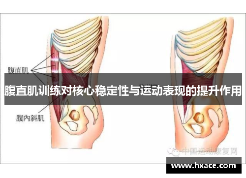 腹直肌训练对核心稳定性与运动表现的提升作用